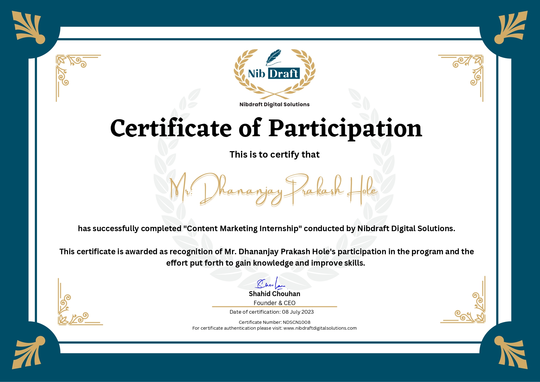 NDSCN1008: Mr. Dhananjay Prakash Hole